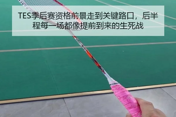 TES季后赛资格前景走到关键路口，后半程每一场都像提前到来的生死战